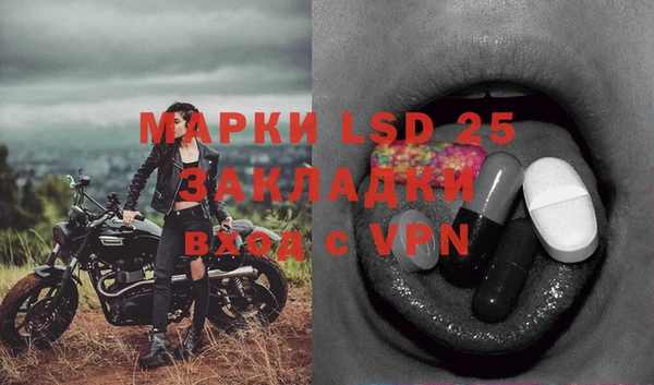 круглые Осинники