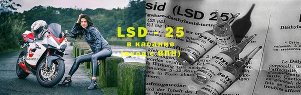 круглые Осинники