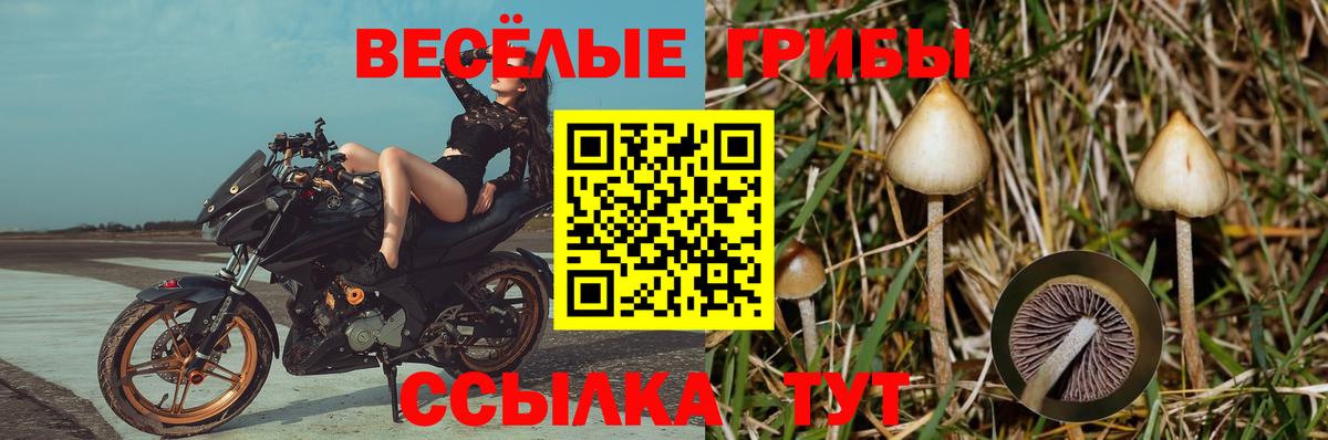 Галлюциногенные грибы прущие грибы  Вход с VPN  Тобольск 