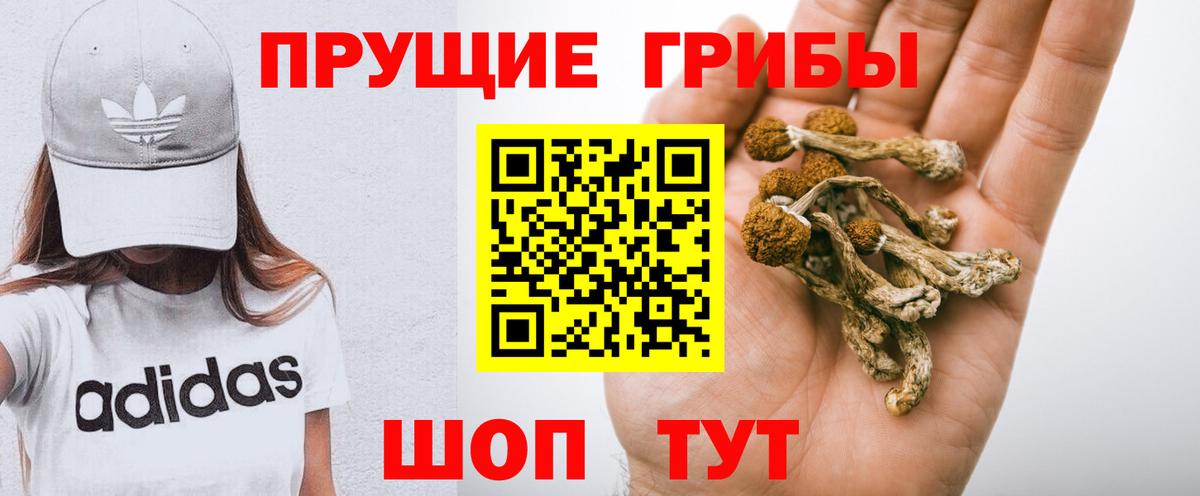 Псилоцибиновые грибы мицелий Тобольск